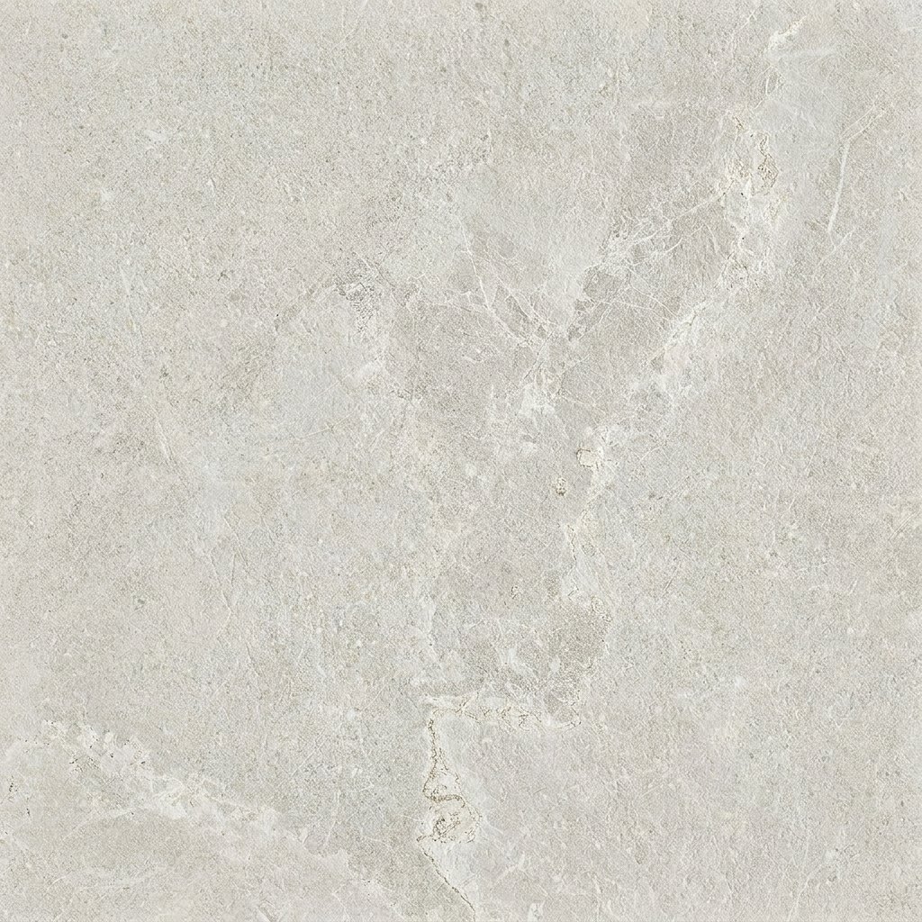 Paonazzo Modena